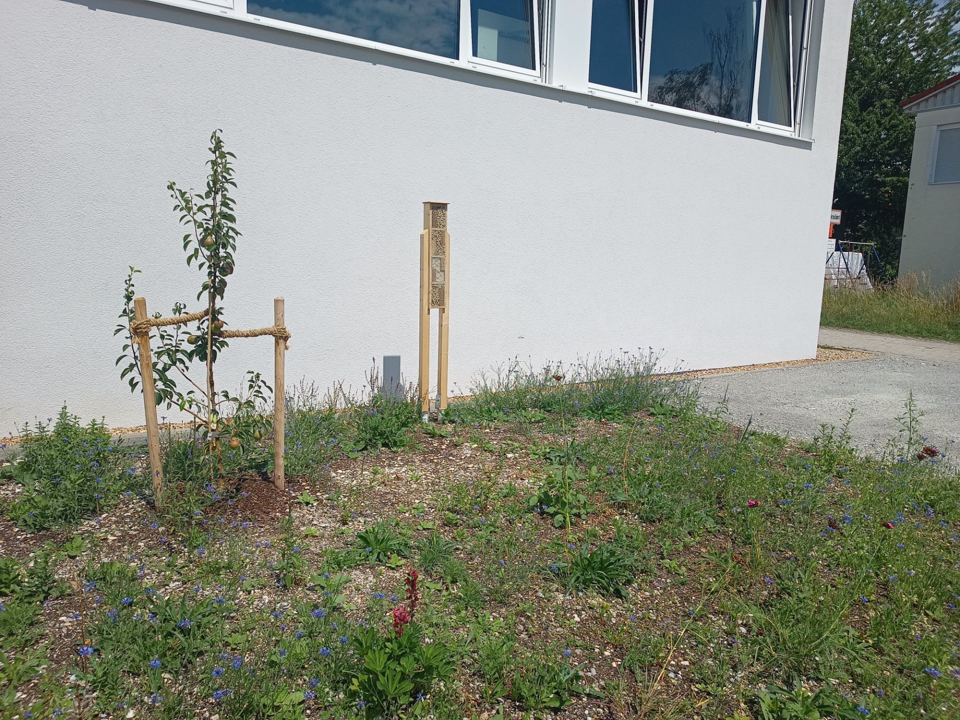 SJ25_26 Umweltschule_18 SJ25_26 Umweltschule_18